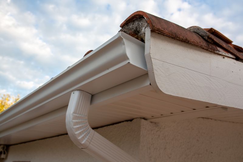 Gutter Cover System in Use